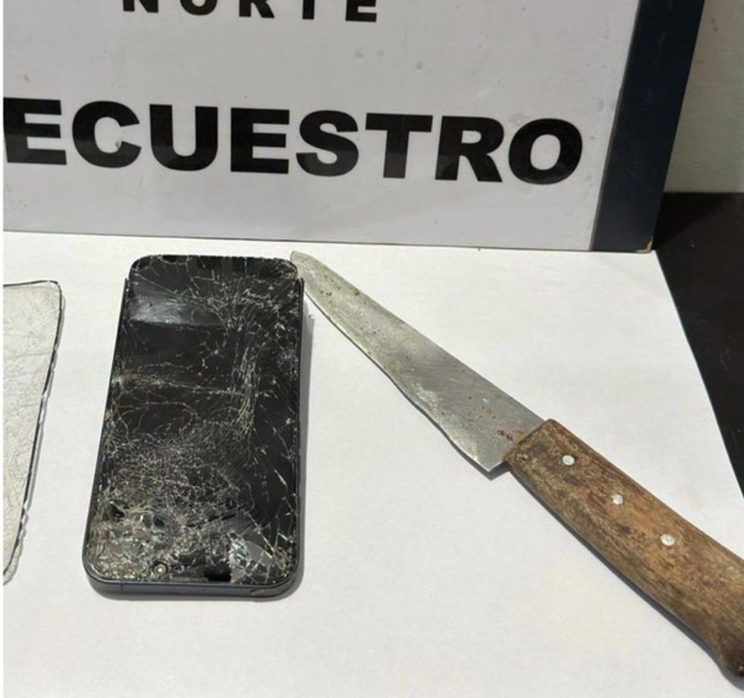 "Intentó escapar por los techos": así detuvieron a un hombre acusado de atacar a su familia con un cuchillo