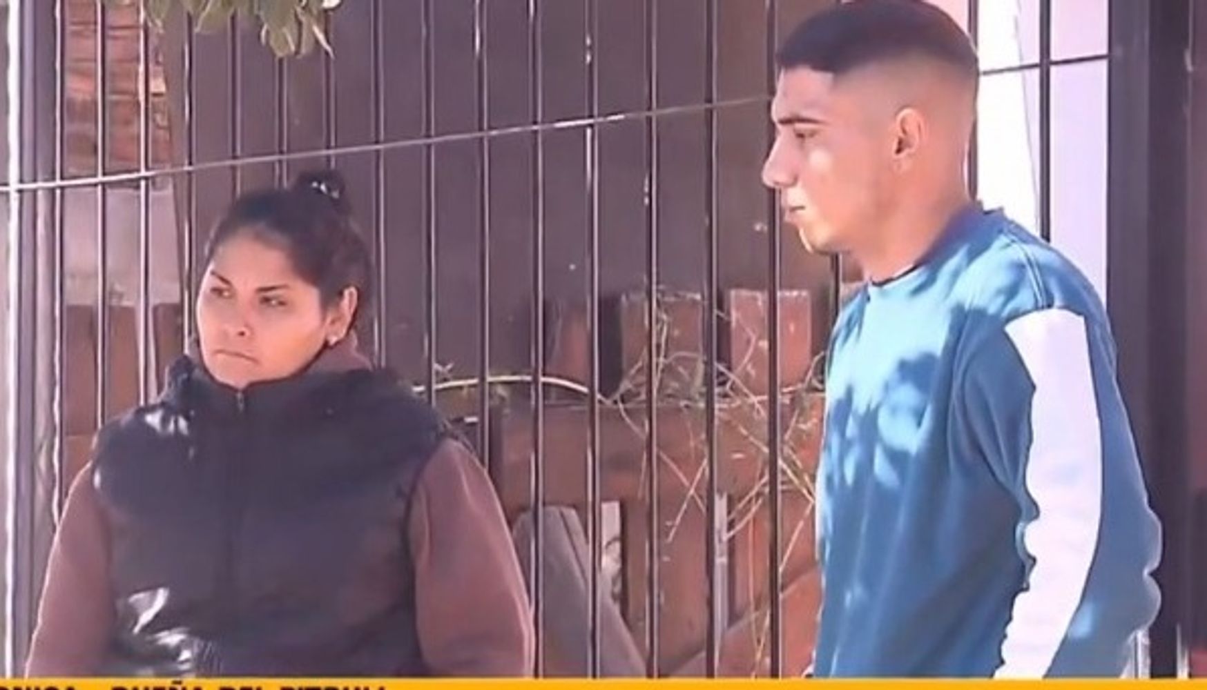 La dueña del animal dio su versión del hecho.