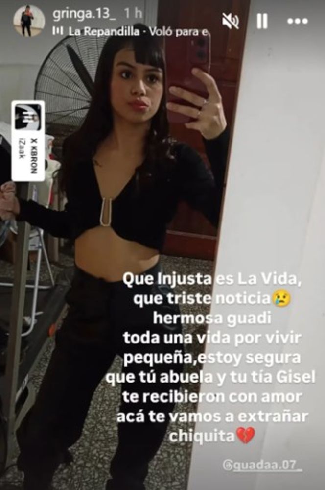 Quién era Guadalupe, la joven de 18 años que murió tras ser embestida por un colectivo en Mar del Plata.