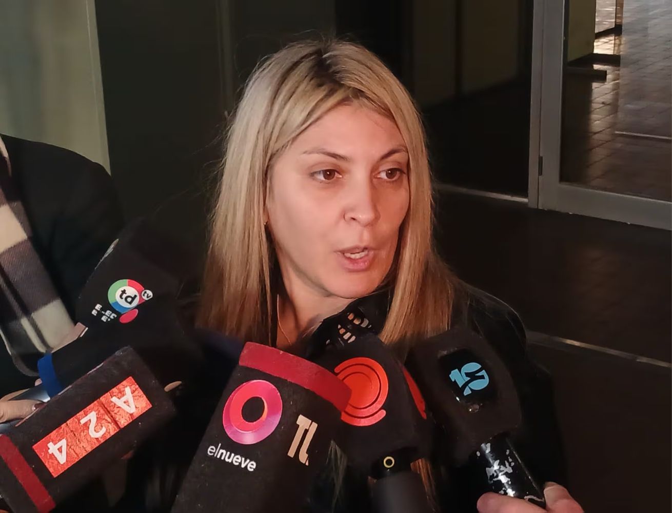 Fernanda Alaniz, abogada de Gabriel Vega.
