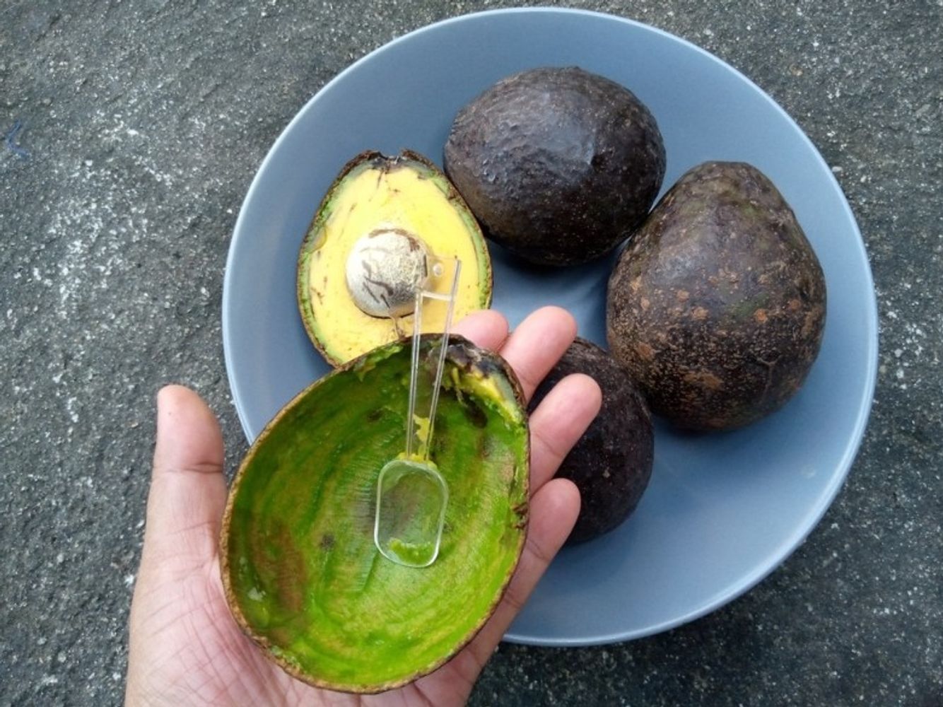 Si tenés cáscara de palta no la tires, tenés un tesoro en tu cocina: para qué sirve y cómo aprovechar todos sus beneficios