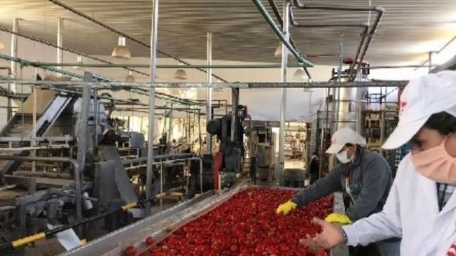 Las exportaciones de mayo crecieron 144,5% interanual y superaron ampliamente los promedios nacional (34,4%) y del NOA (32,5%).