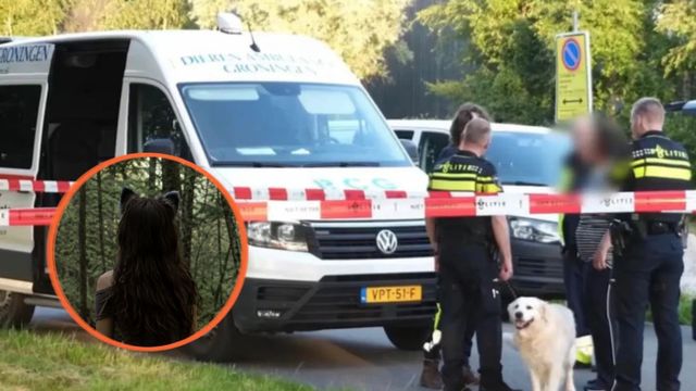 Los escalofriantes mensajes que la adolescente therian envió a sus compañeros tras el crimen de sus padres.