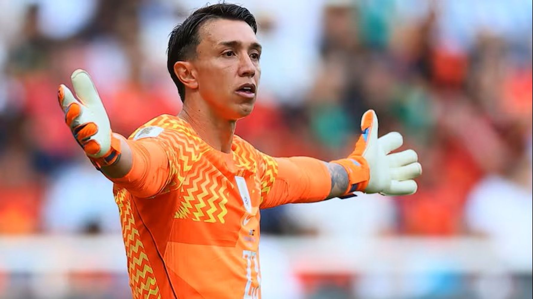Fernando Muslera.