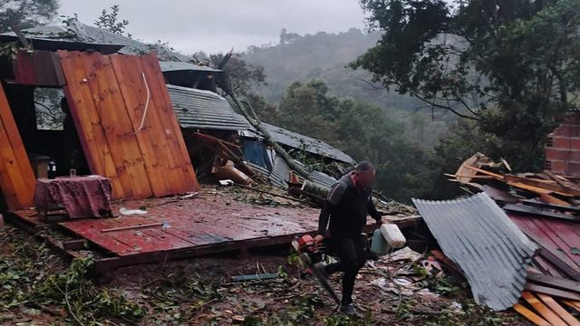 Un árbol cayó sobre una vivienda durante el temporal en Bernardo de Irigoyen y provocó importantes daños.