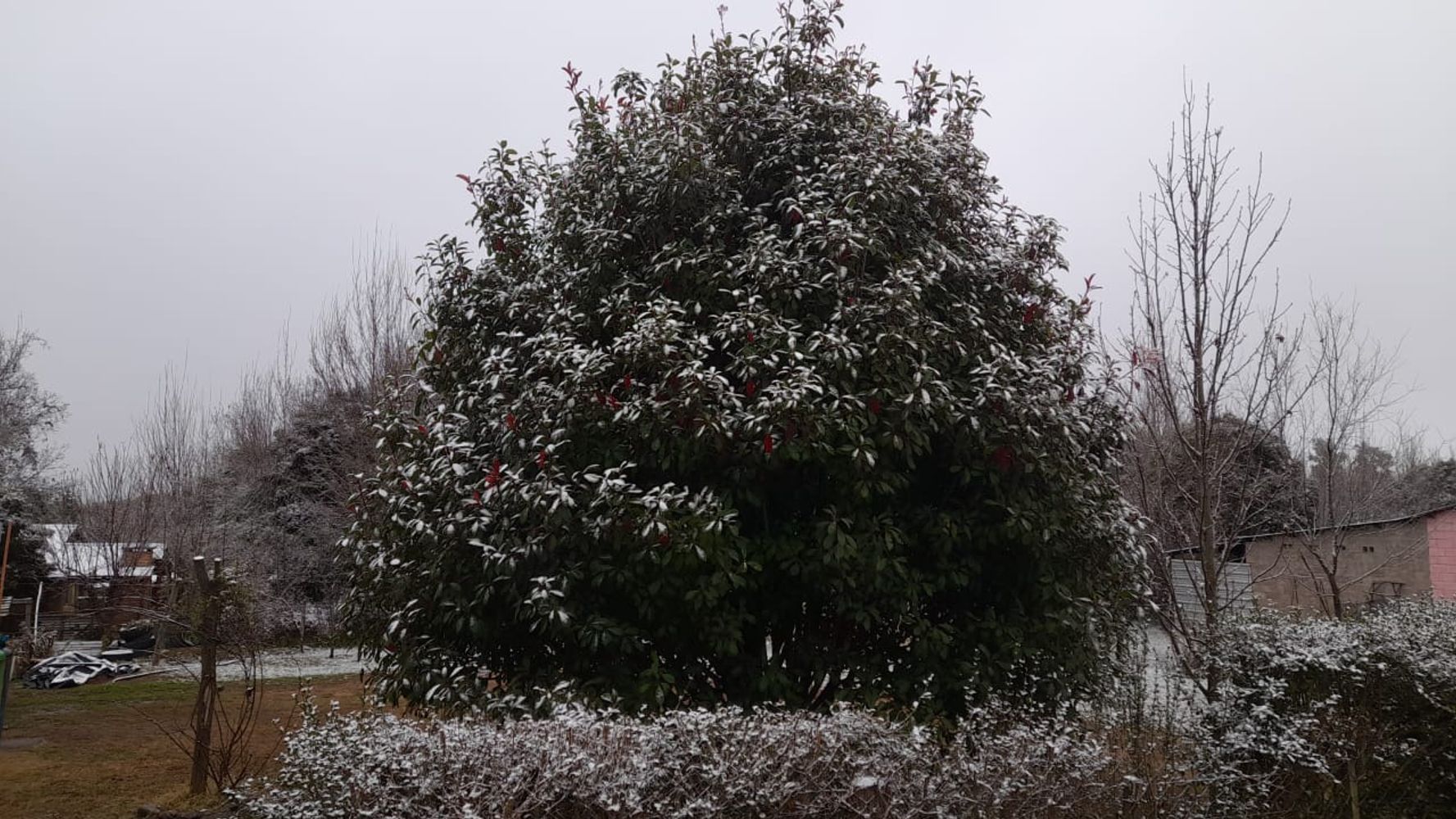 Nieve en Villa Yacanto, Córdoba.
