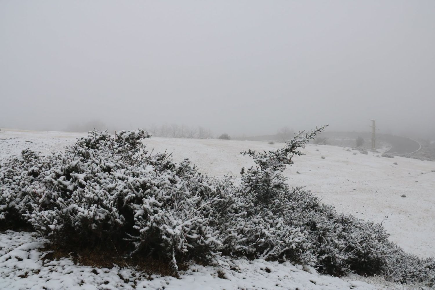 Tras la nevada de la madrugada, se espera una tarde con nubosidad en disminución y sin nuevas precipitaciones.