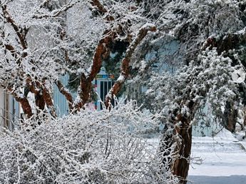 La nieve volvió a Los Gigantes y regaló una postal de invierno en Punilla