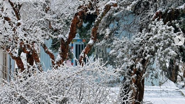 La nieve volvió a cubrir Los Gigantes y regaló una postal inolvidable en Tanti. Fotos: Viví Turismo