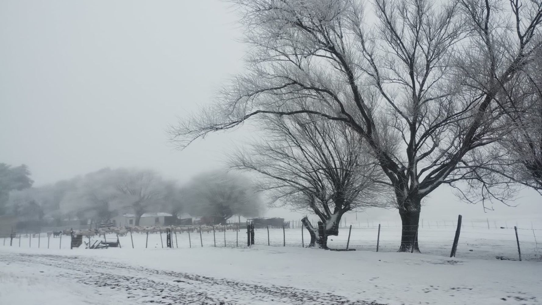 Nuevas postales de Los Gigantes tras la nevada que sorprendió a Punilla.