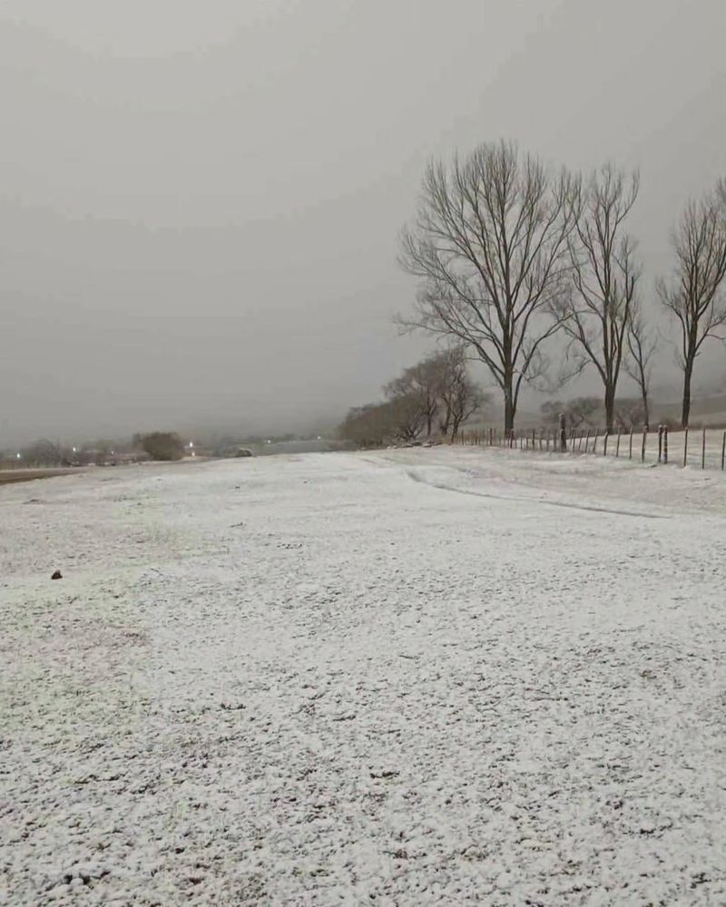 La nevada llamó a extremar precauciones en la circulación.