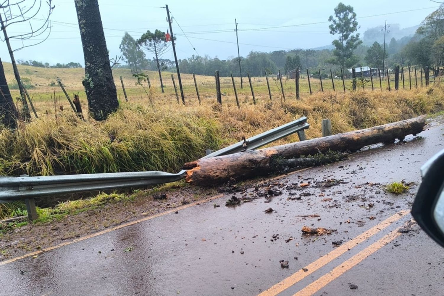 Temporal en Tobuna: árboles caídos, casas destechadas y cortes de luz tras la tormenta.