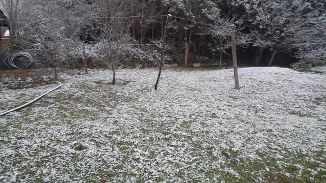 Frío en Cordoba.