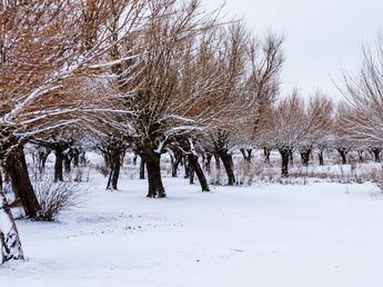 El frío polar dejó nieve en Los Gigantes y mantiene en alerta a las sierras