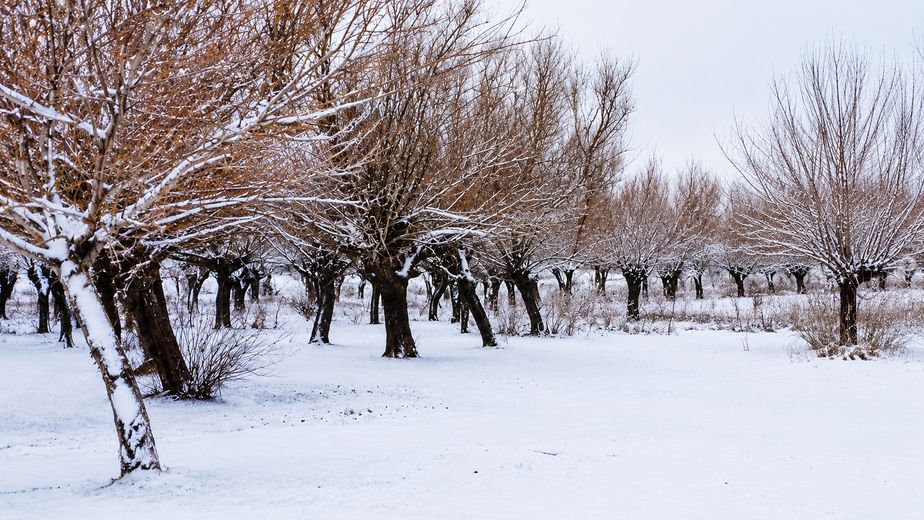 El frío polar dejó nieve en Los Gigantes y mantiene en alerta a las sierras