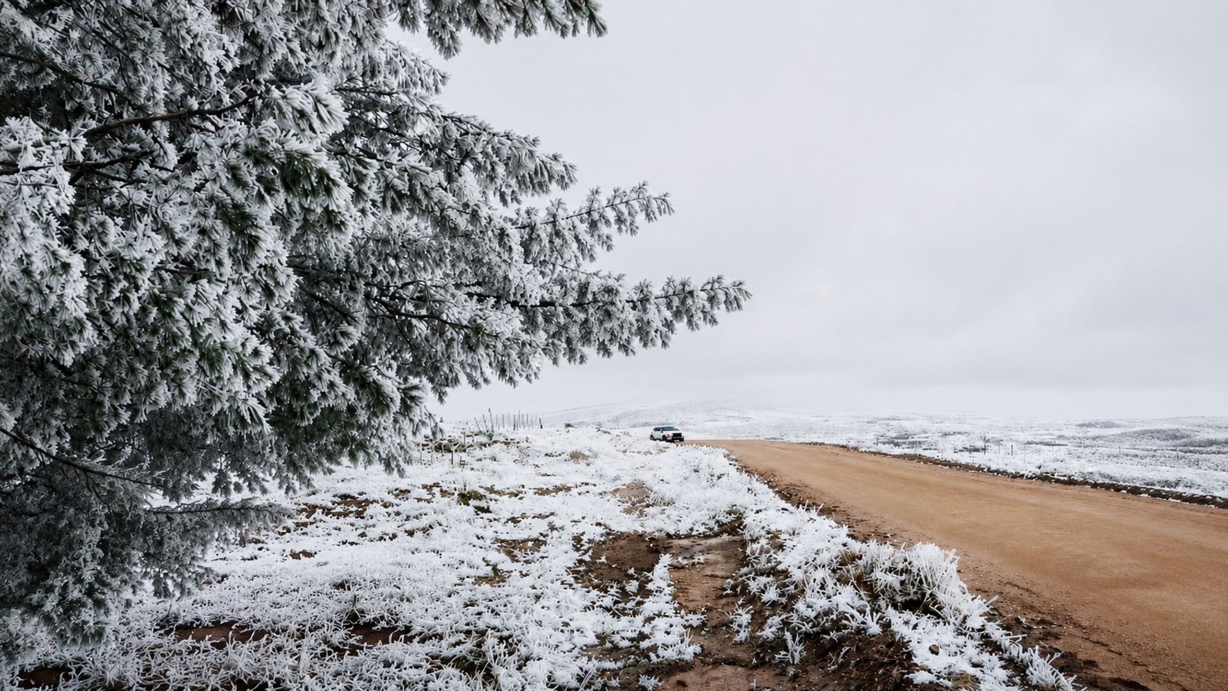 Fotos: Viví Tanti. La nieve volvió a Los Gigantes y el invierno se hace sentir en las sierras