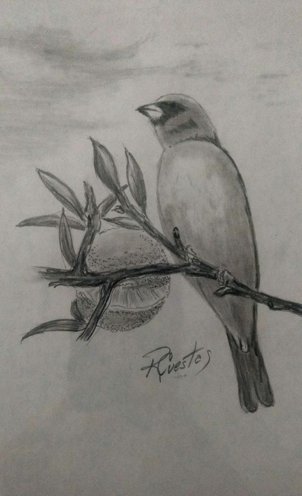 El otro legado de Rubén Cuestas: los dibujos con los que también le cantó a Entre Ríos.