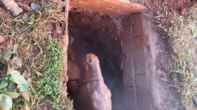 Triste desenlace en Iguazú: murió una yegua preñada tras ser rescatada de un pozo en las 2000 Hectáreas.