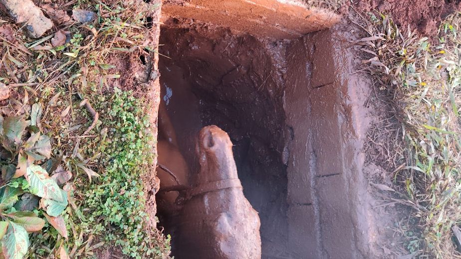 Triste desenlace en Iguazú: murió una yegua preñada tras ser rescatada de un pozo en las 2000 Hectáreas
