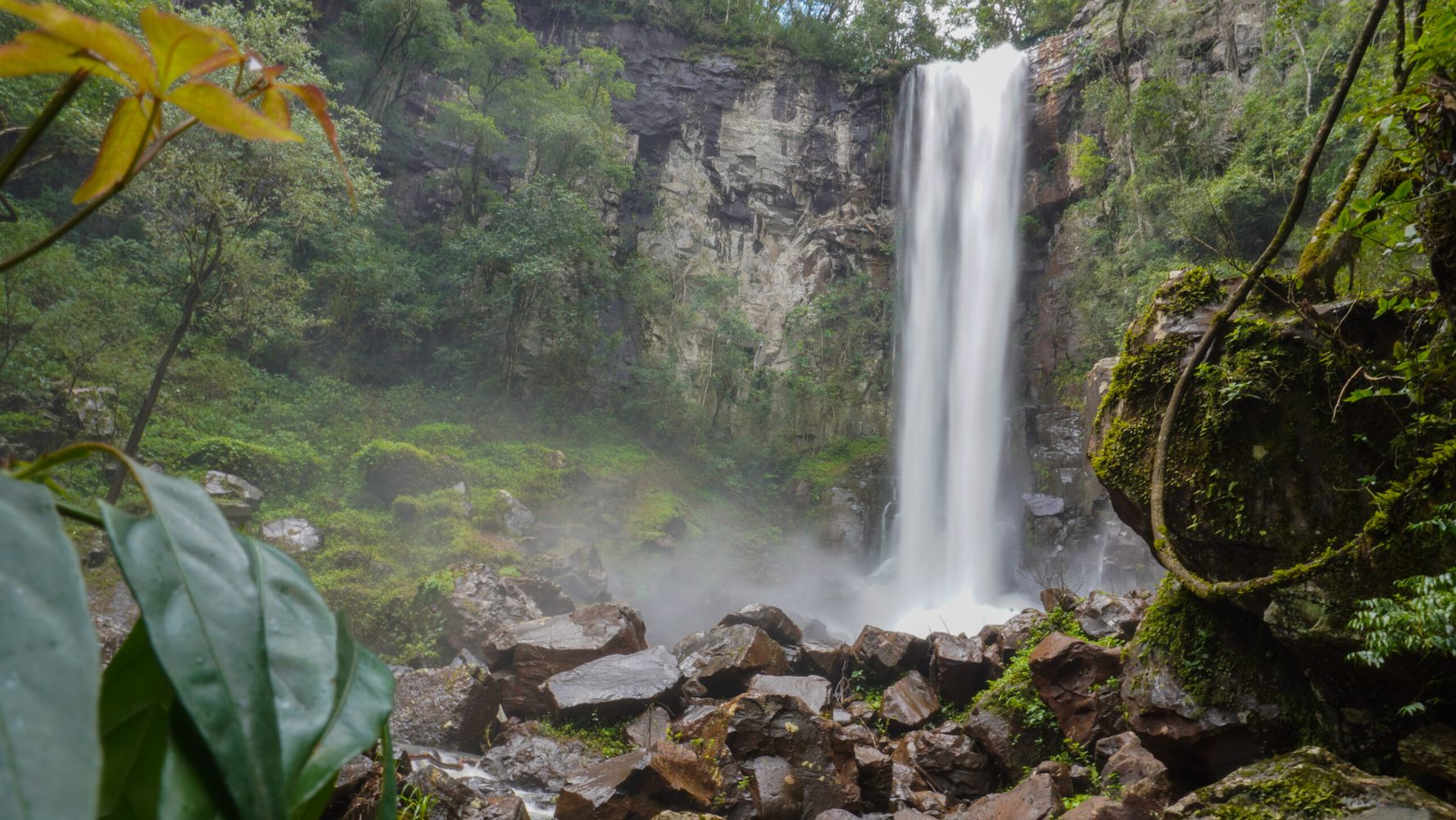 Vacaciones de invierno en Misiones: selva, Cataratas del Iguazú, patrimonio jesuítico y escapadas para descubrir el Litoral .