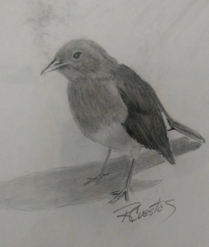 El otro legado de Rubén Cuestas: los dibujos con los que también le cantó a Entre Ríos.