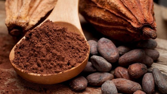 Cuál es la mejor manera de consumir cacao: los múltiples beneficios de este superalimento que pocos conocen