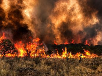 Preocupación en Córdoba por incendios forestales: qué lugares están en alerta