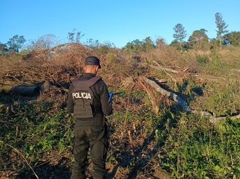 Murió un trabajador rural tras ser aplastado por un árbol mientras realizaba tareas de poda en El Soberbio