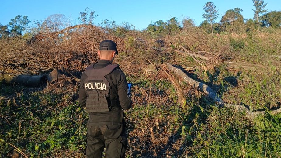 Murió un trabajador rural tras ser aplastado por un árbol mientras realizaba tareas de poda en El Soberbio