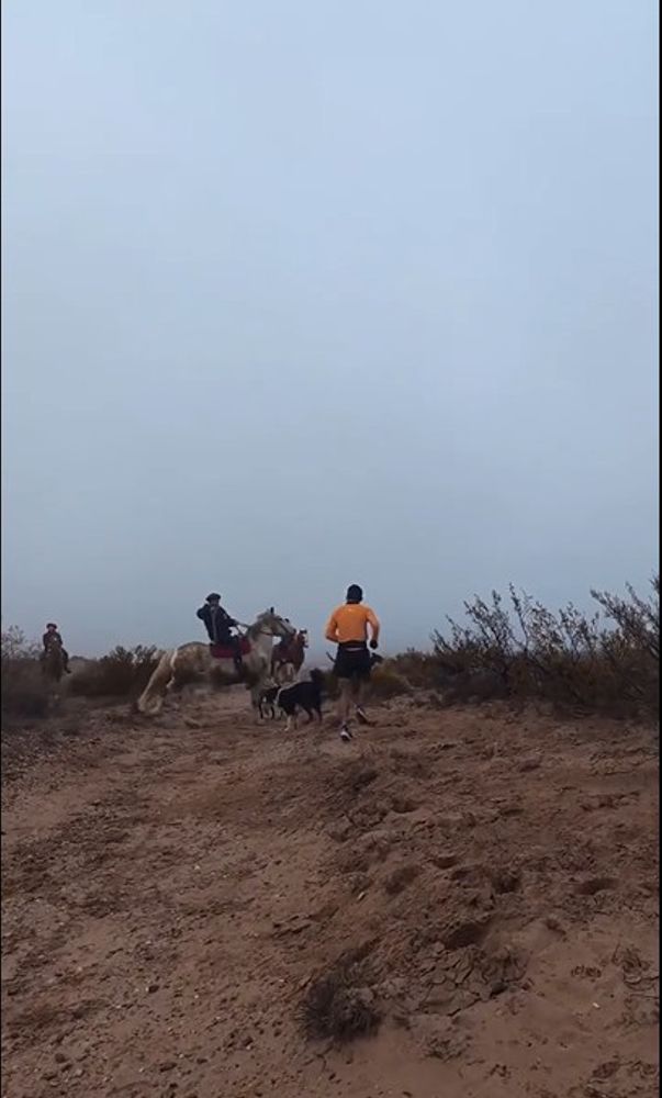 Jinetes atacaron a corredores en una carrera
