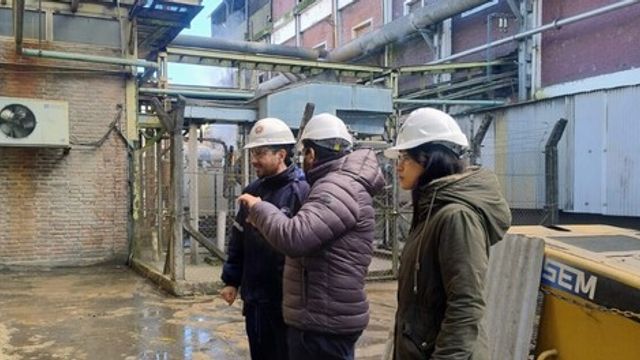 El operativo estuvo a cargo de especialistas de la Subsecretaría de Medio Ambiente.