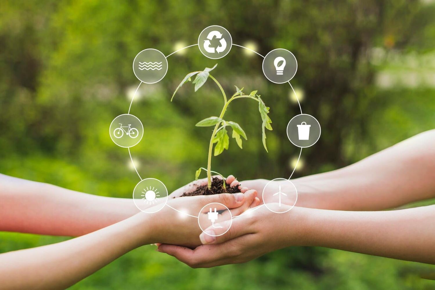 Sustentabilidad 2026.