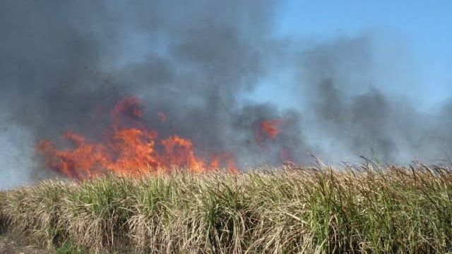 Defensa Civil se mantiene en alerta durante toda la zafra, en el marco del plan provincial de prevención.