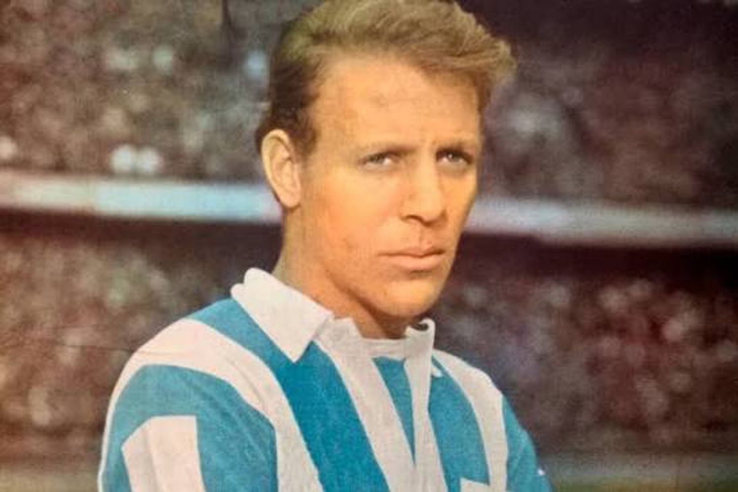Federico Sacchi