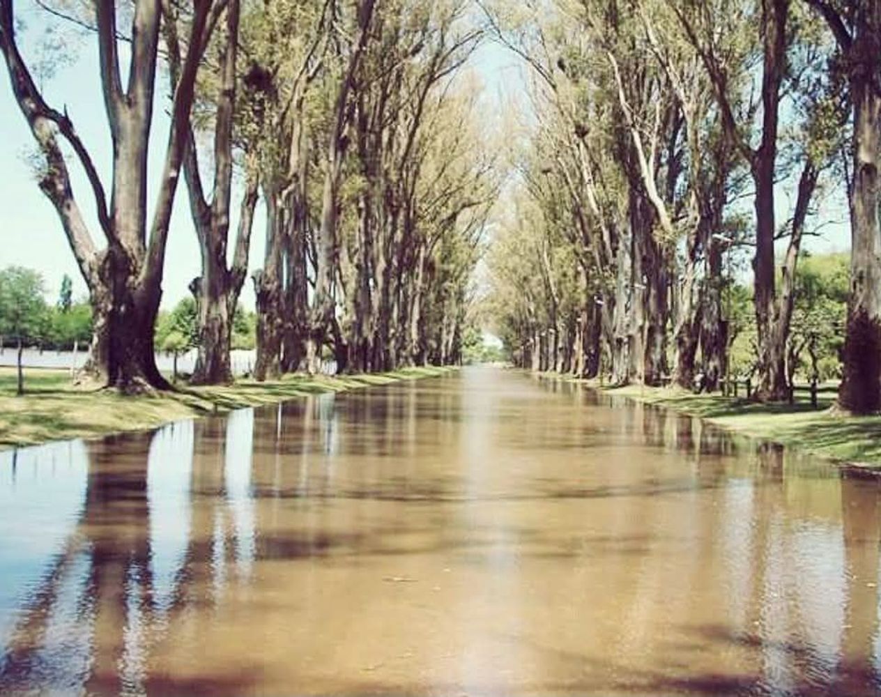 Inundaciones Gualeguaychú. Foto web.