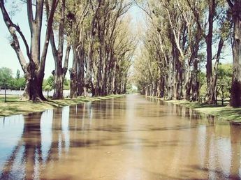 Crecida del río: el inesperado avance del agua encendió el monitoreo y mantiene la atención en la ribera