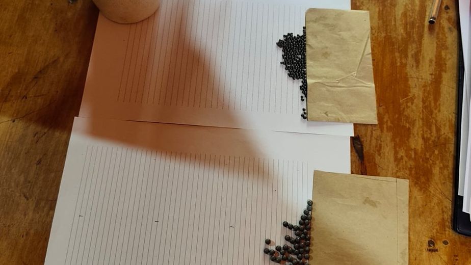 Hirieron de un disparo a un joven en El Soberbio: hay un detenido y secuestraron más de 350 perdigones