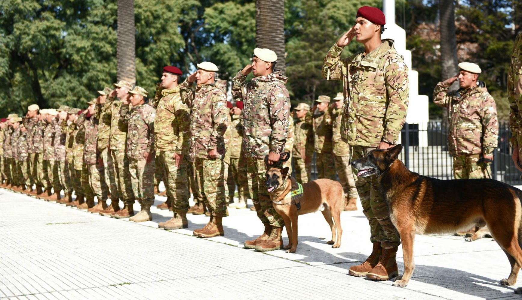 El Ministerio de Defensa reconoció a los rescatistas que participaron de la "Operación Venezuela"