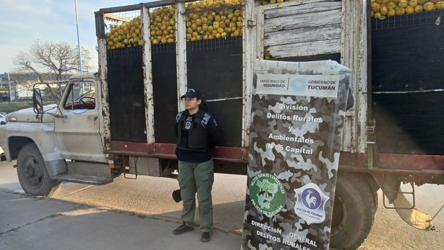 Cinco toneladas de limones fueron secuestradas por no contar con la documentación que acredite su origen y legalidad.