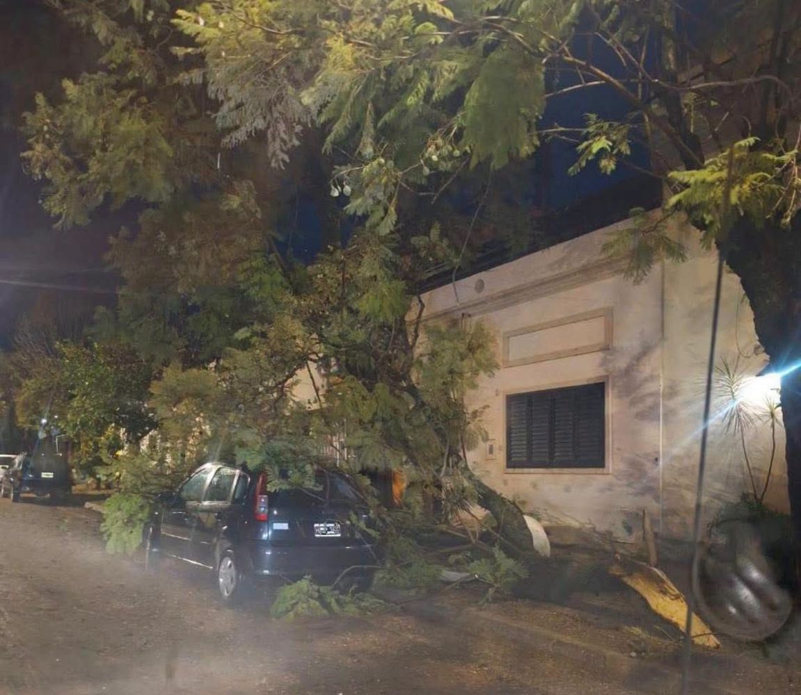 Temporal en Entre Ríos.Fotos Web