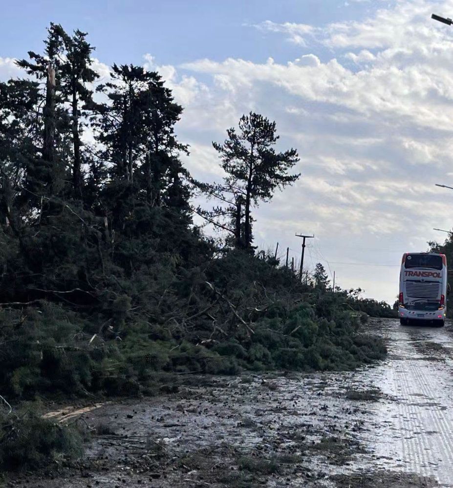 Temporal en Entre Ríos.Fotos Web