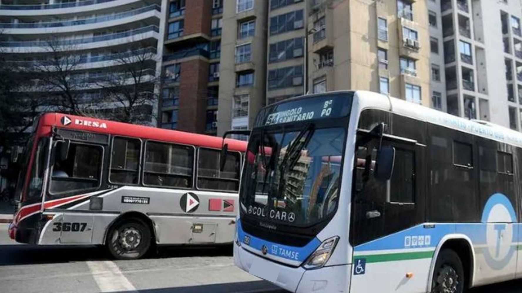 El Transporte urbano de Córdoba sufrirá modificaciones en 17 líneas .
