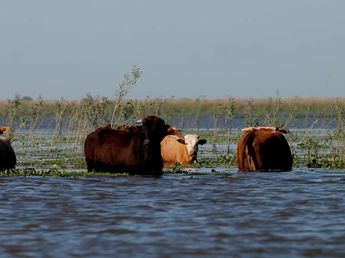 Ante las primeras señales de El Niño ponen en marcha un operativo preventivo para reducir el impacto del fenómeno