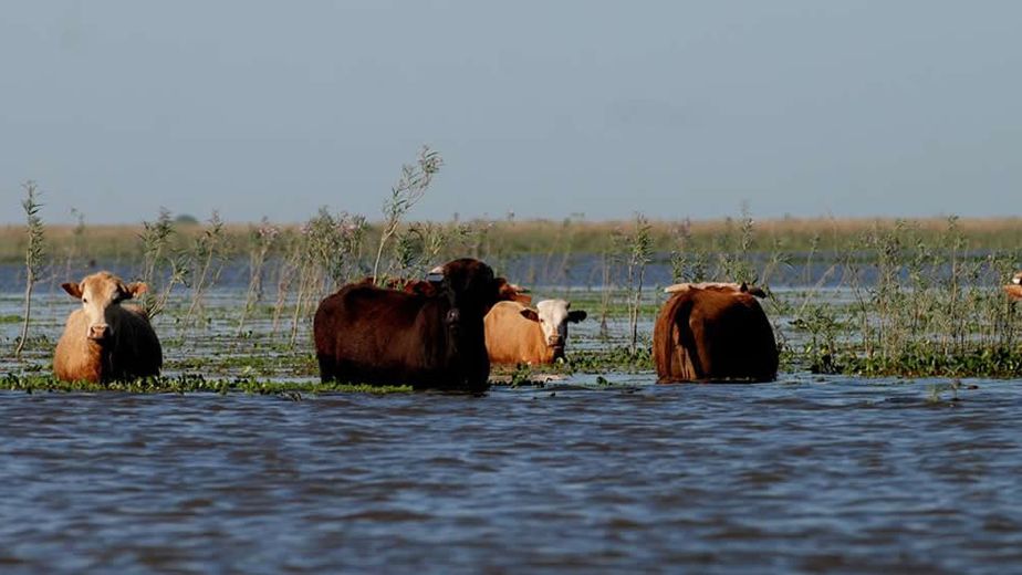 Ante las primeras señales de El Niño ponen en marcha un operativo preventivo para reducir el impacto del fenómeno