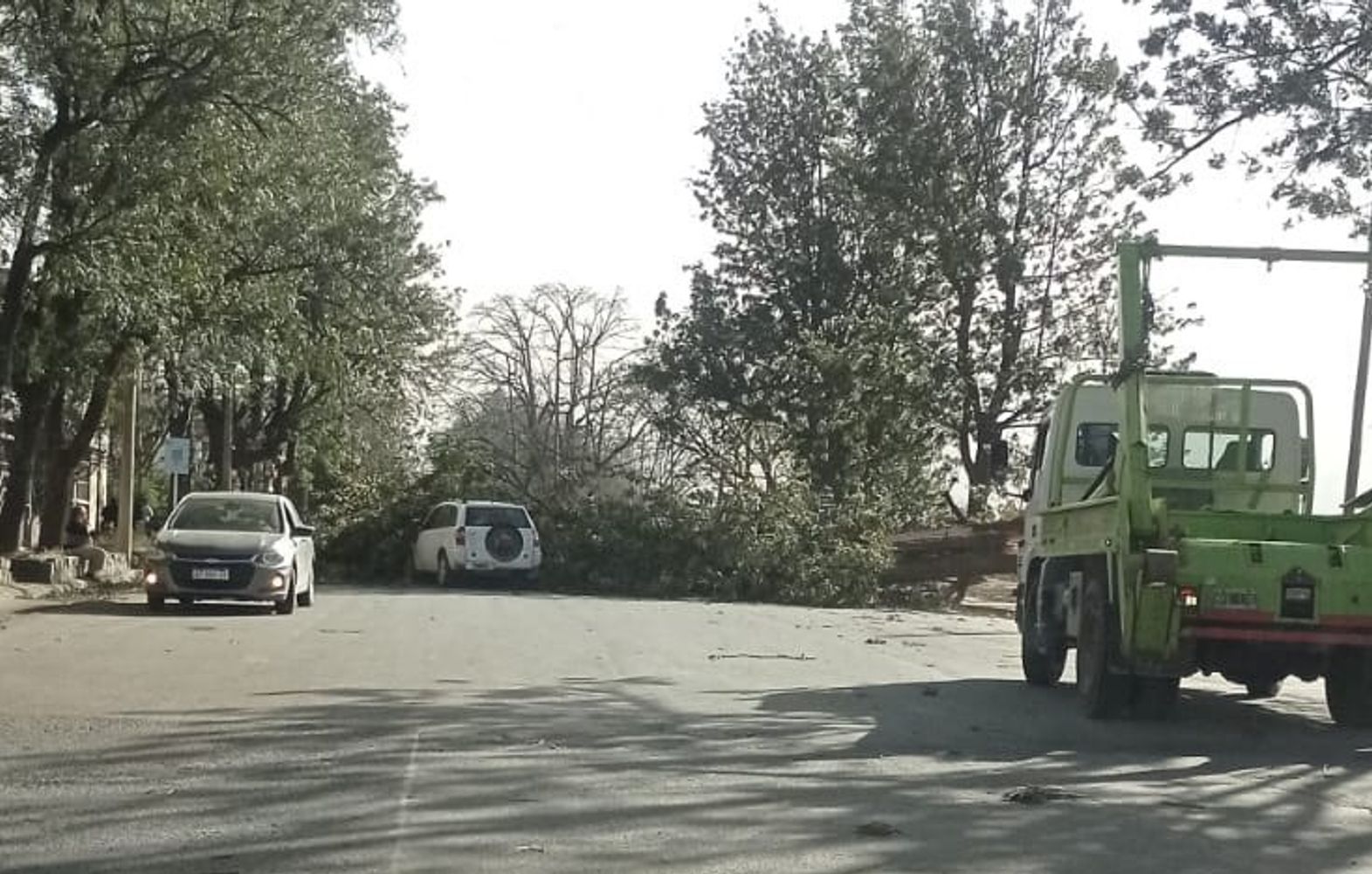 En la avenida Santibañez, a las puertas del Ministerio de Infraestructura, un enorme árbol cayó sobre un vehículo particular cuando pasaba por el lugar, en pleno temporal de viento y polvo.