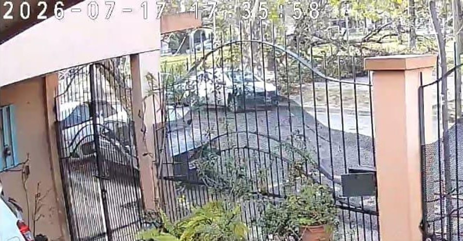 Una cámara de seguridad capta el momento en que el viento Norte arranca con violencia las ramas de los árboles, en un espacio público de la capital jujeña.