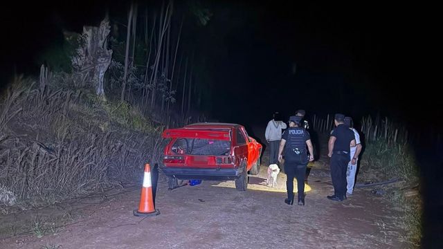 Una mujer murió tras el despiste de un automóvil en Dos Arroyos y su hija de 4 años quedó internada.
