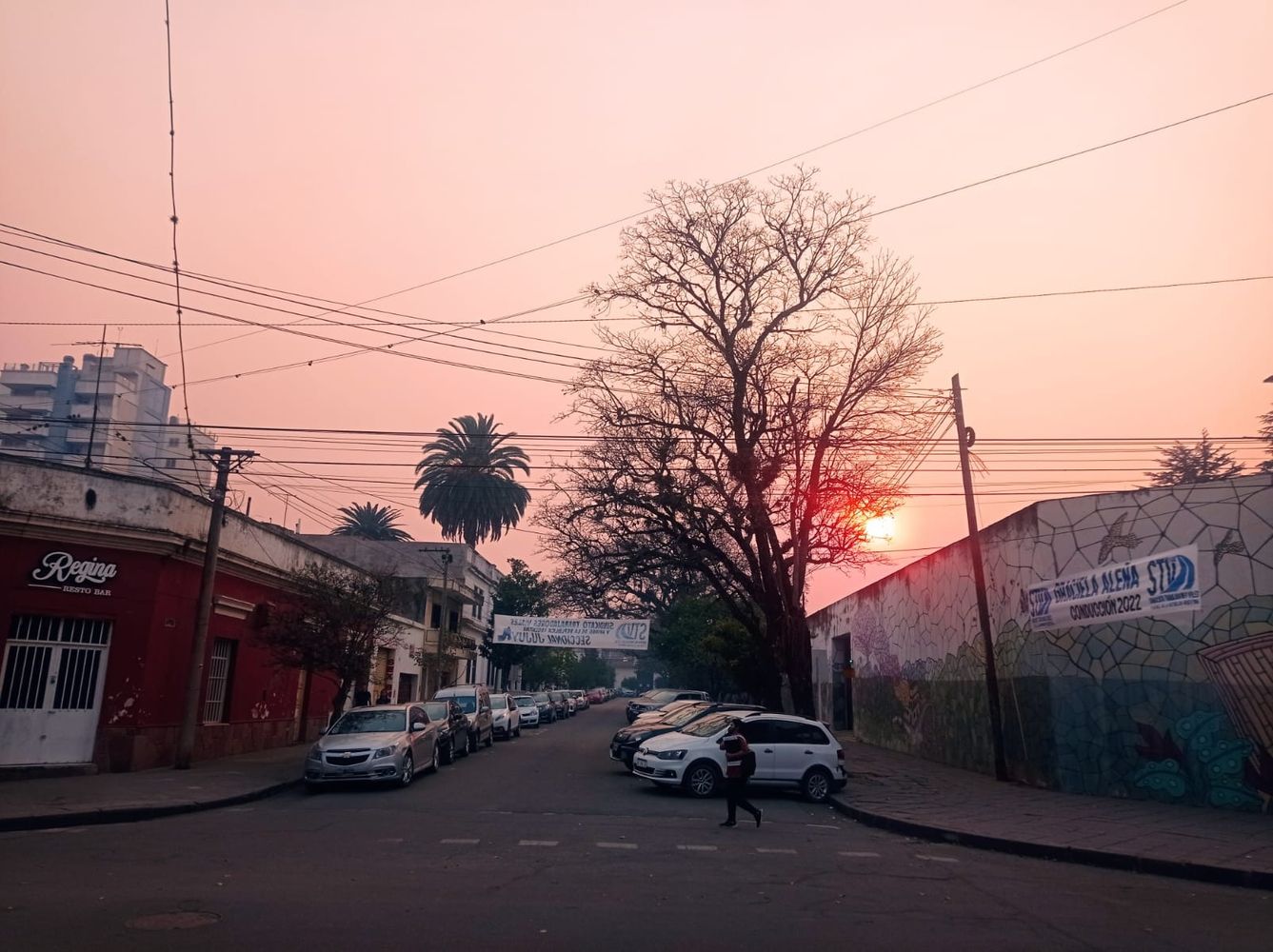 Árboles de frondoso follaje, marañas de cables y cartelería colgante que infringe las normas de la ciudad, condiciones previas a las inclemencias del tiempo que hablan de que la vulnerabilidad está presente.