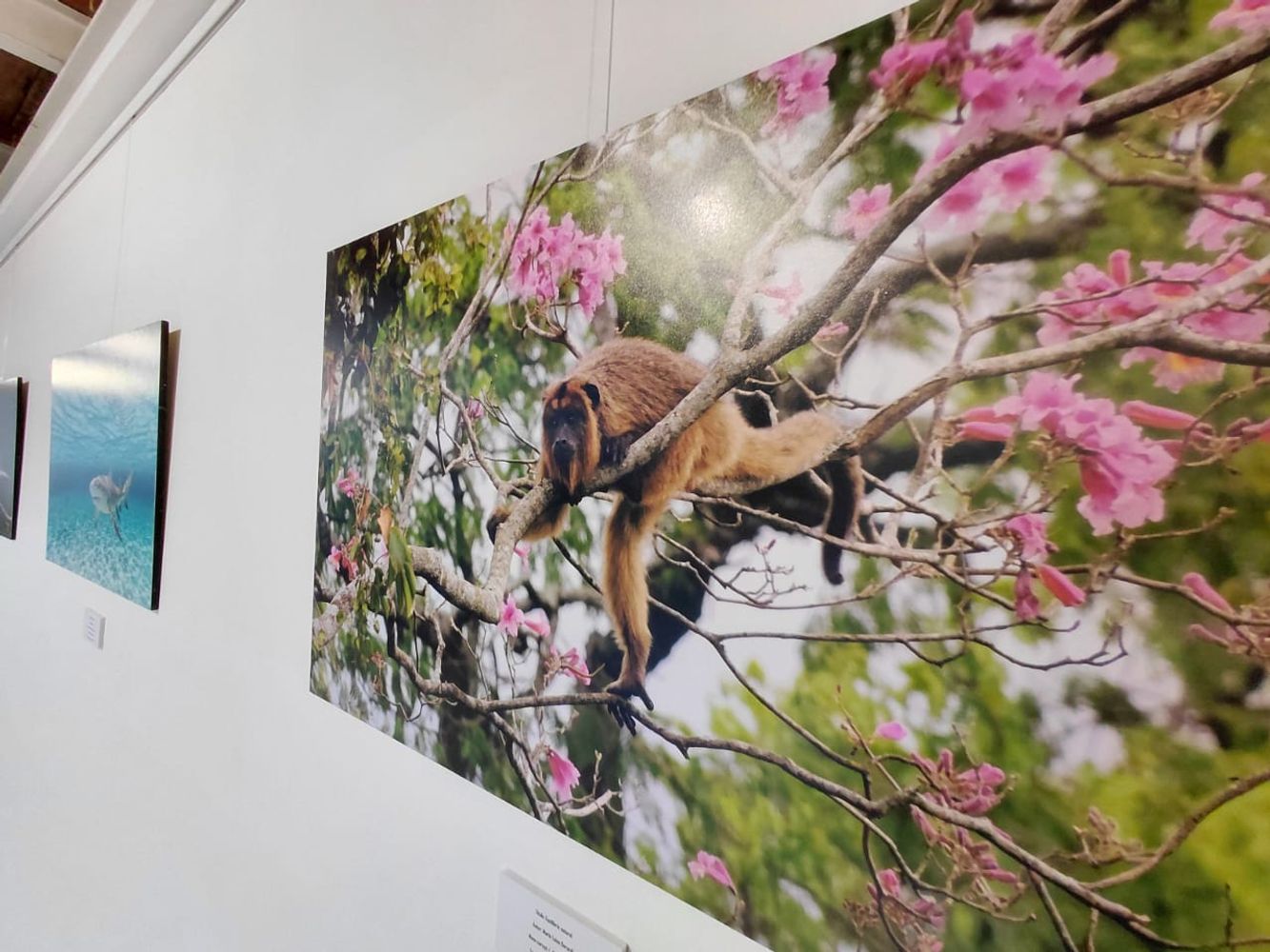 Vacaciones en el Museo Mulazzi