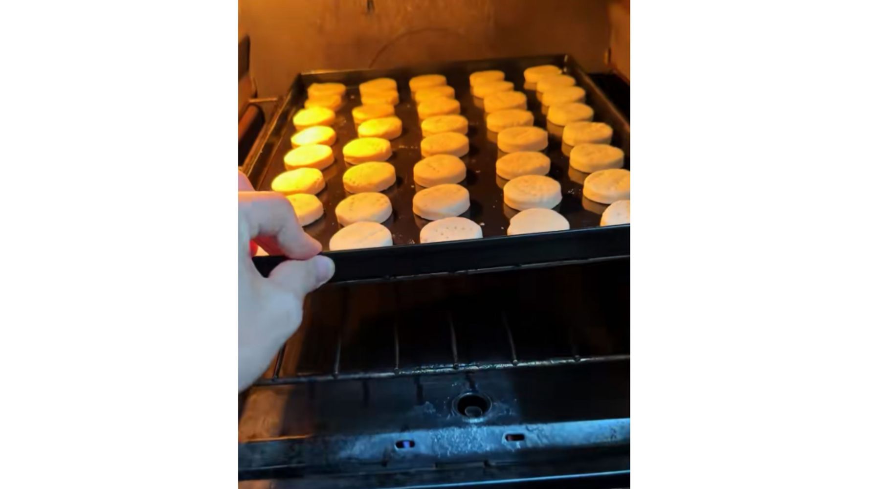Estos bizcochitos te resuelven los mates de la tarde en minutos.